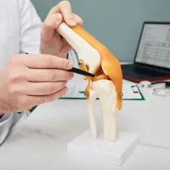 Lekarz pokazuje na modelu kolana, gdzie może być uszkodzona łąkotka. W tle widać laptop z wynikami rezonansu magnetycznego.