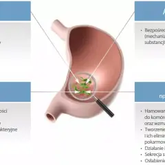 Leki na Helicobacter pylori: Skuteczna terapia i schematy leczenia