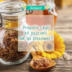 Jak stosować propolis? Dawkowanie, formy, bezpieczeństwo poradnik