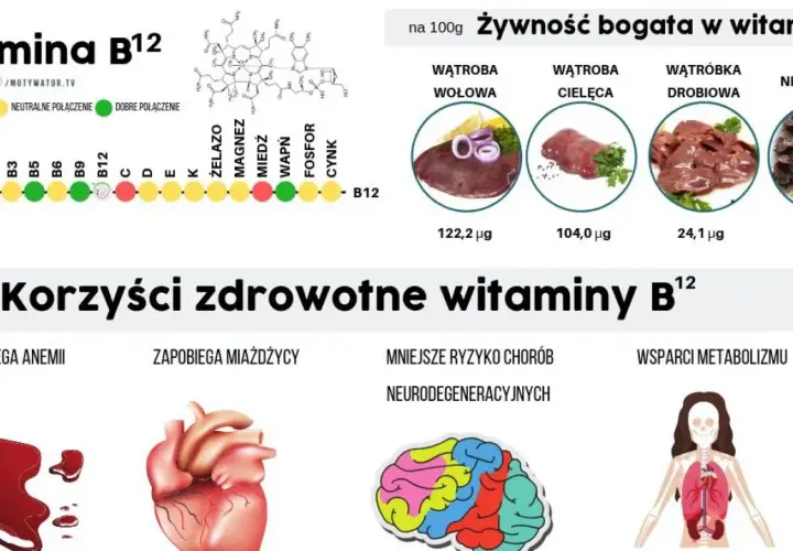 Witamina B12: Jak przyjmować, by działała? Maksymalizuj wchłanianie!