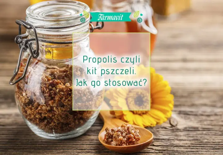 Jak stosować propolis? Dawkowanie, formy, bezpieczeństwo poradnik