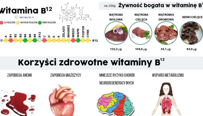 Witamina B12: Jak przyjmować, by działała? Maksymalizuj wchłanianie!