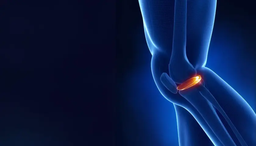 Anatomia kolana z podświetloną łąkotką przyśrodkową, kluczową dla stabilności stawu.