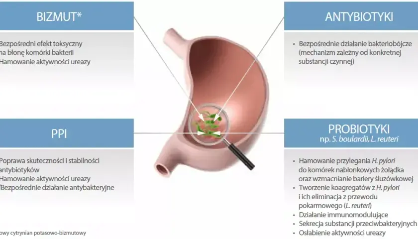 Leki na Helicobacter pylori: Skuteczna terapia i schematy leczenia