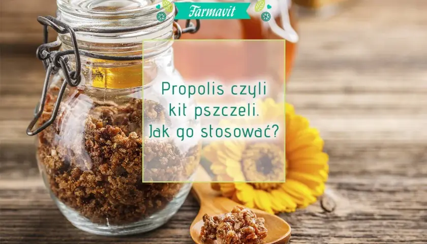 Jak stosować propolis? Dawkowanie, formy, bezpieczeństwo poradnik