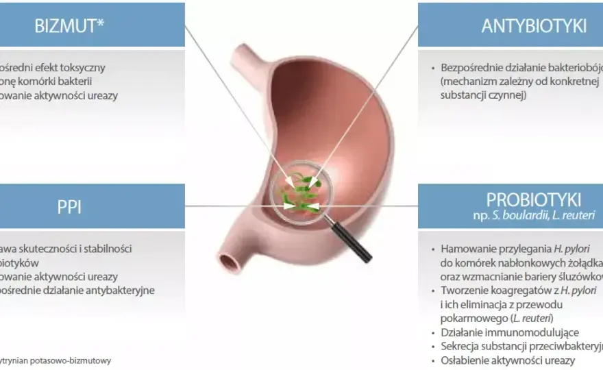 Leki na Helicobacter pylori: Skuteczna terapia i schematy leczenia