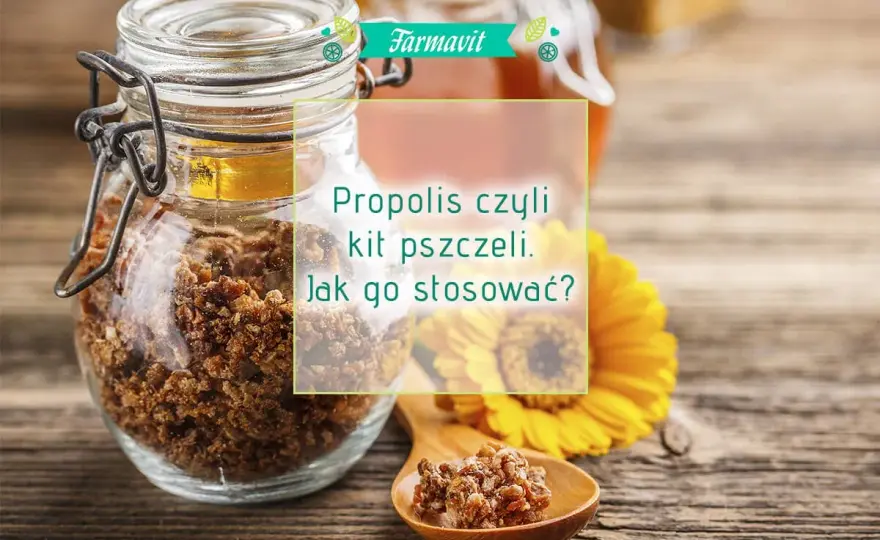 Jak stosować propolis? Dawkowanie, formy, bezpieczeństwo poradnik