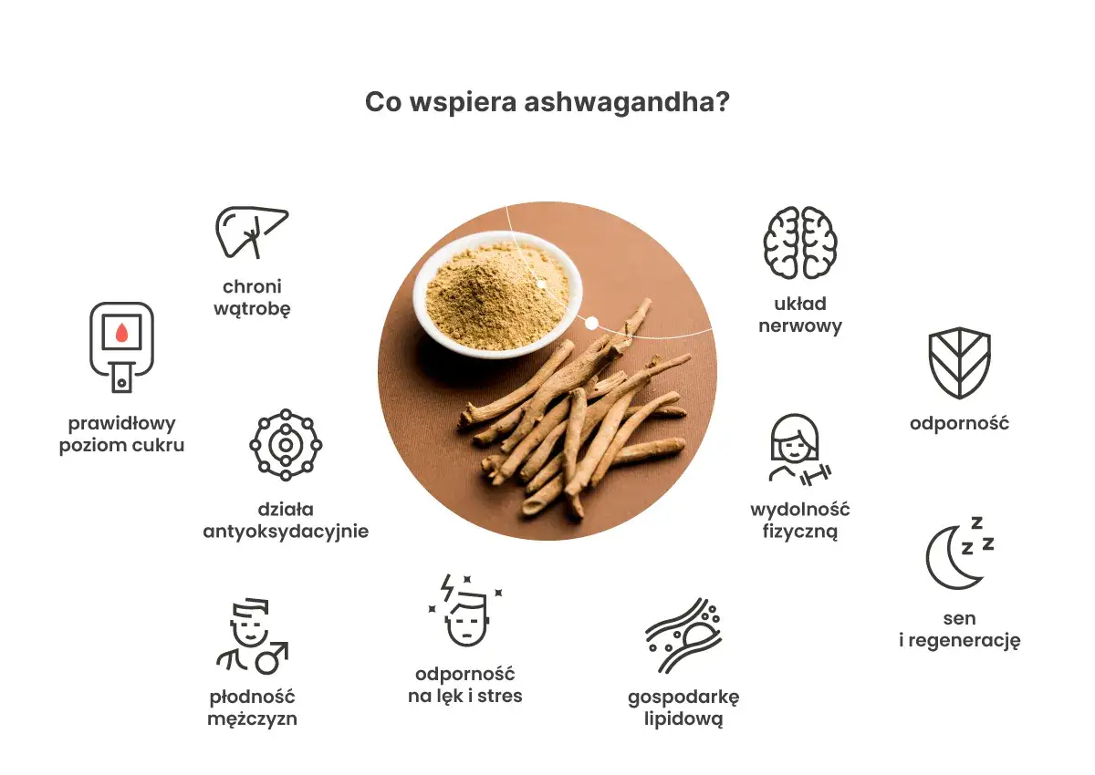 przeciwwskazania do stosowania ashwagandhy grafika