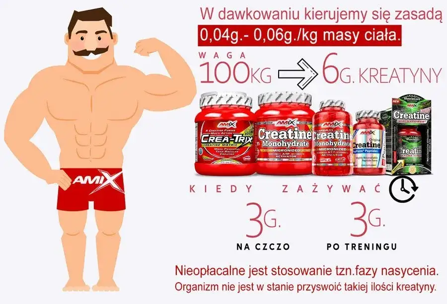 suplementy dla początkujących na siłowni białko kreatyna witamina d