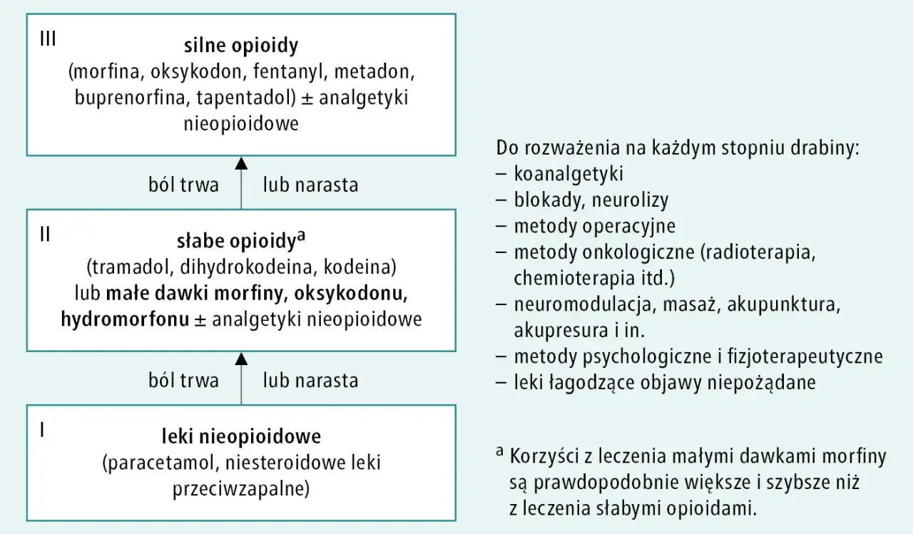 Drabina analgetyczna WHO diagram